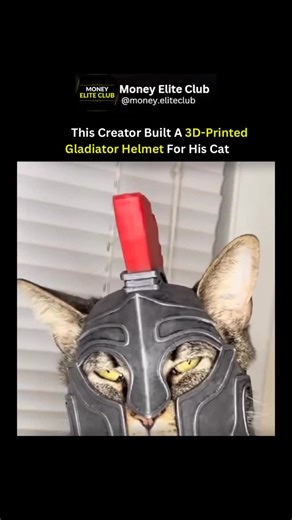 Money Elite Club 💰 Wealth & Freedom on Instagram: "This is what happens when consumer-grade 3D printing meets unlimited creativity… and a very patient cat. 🐱⚙️ It starts with a precise digital scan and model of the cat’s head — accounting for ears, whiskers, eye clearance, and weight balance. The helmet is engineered to stay lightweight, centered, and comfortable, not just dramatic. Then the file is sliced into hundreds of microscopic layers. Layer by layer, molten filament is fused together w