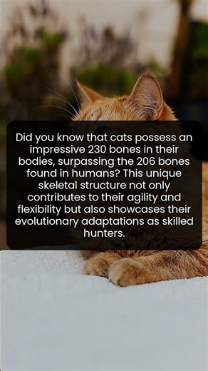Unbelievable Facts About Cat Bones That Make Them Extraordinary Hunters