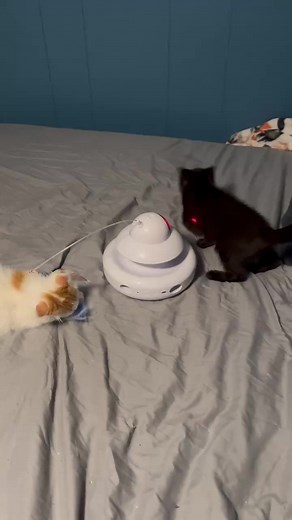 11 reactions | Lander Pet Connection on Reels | Facebook