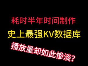 耗时半年制作的rocksdb视频播放量如此惨淡～～～