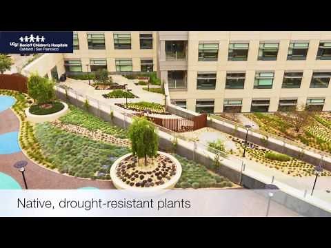 UCSF Benioff Children's Hospitals campus tour