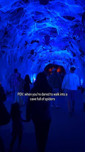 Secret Los Angeles on Instagram: "Enter if you dare! 🕸️🕷️☠️🎃 @nightofthejack is back! Experience this Halloween walkthrough experience in Calabasas featuring thousands of hand-carved pumpkins, immersive light displays, and themed photo ops that bring spooky season to life. 👉For more spooky things to do this October, click the link in our bio. #attractions #mysecretla"