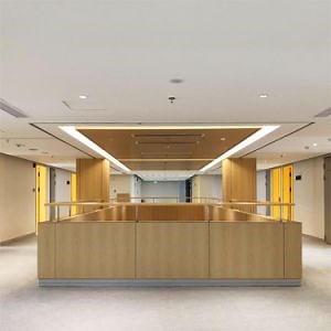 [Hot Item] Debo 8mm Compact Laminate Wall Cladding Anti-Bacterial Hygiene