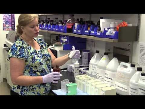 Picrosirius Red Staining