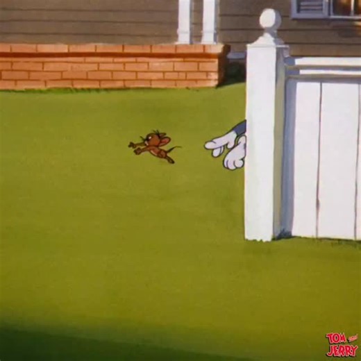 Mr Respect on Instagram: "Follow @just_entertainmen.t for more! They don’t make cartoons like this anymore 😂 "Deputy Droopy" is a 1955 animated short film directed by Tex Avery and Michael Lah where Deputy Droopy is tasked with guarding a safe full of gold. Two outlaws attempt to steal the gold quietly, but Droopy repeatedly foils their attempts by using clever tricks that force them to make noise and run outside, a gag with many variations. The cartoon is known for its repeated gag, visual gag