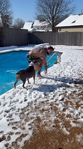 805K views · 6.3K reactions | Donate & you shall receive ❄️ Thank you to EVERYONE who donated to force Kyle to jump in! Without each of you, we couldn’t do this  What a community we have 冀 | Blues City Animal Rescue | Facebook