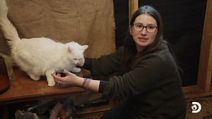 Bird is making a feline feast garnished with a gravy-dipped mouse! *chef's kiss* Watch a new #AlaskanBushPeople tomorrow at 8p on Discovery! | Alaskan Bush People