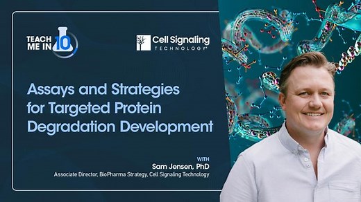 Assays and Strategies for Targeted Protein Degradation Development