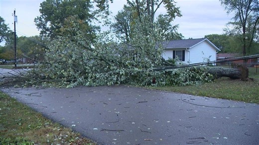 Fallen tree snaps wires and knocks out power for entire Greater Cincinnati neighborhood