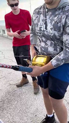 that’s one big goldfish (@Sam Hanikeh) #fishing #shark #hammerheadshark #hammerhead