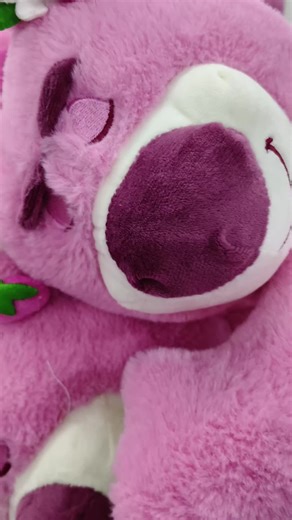 Descubre las Medias Más Hermosas del Mundo