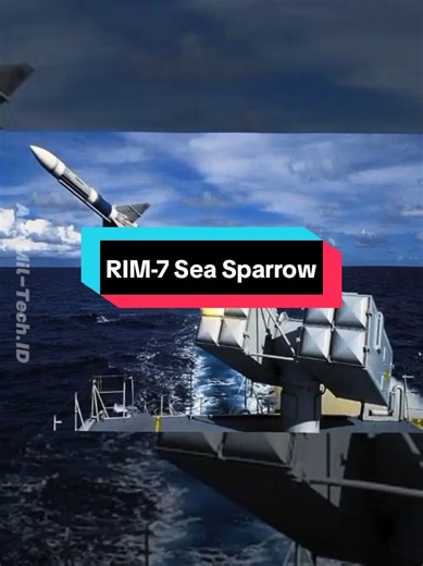 RIM-7 Sea Sparrow adalah sebuah sistem anti-pesawat dan senjata anti-rudal jarak pendek yang dipasang pada kapal Amerika Serikat. Sistem ini ditujukan untuk pertahanan terhadap rudal anti-kapal. . . . #rim7 #seasparrow #airdefense #usnavy #aemiltechid #militaryedit #militarytechnology #xyzabc #fyp #foryoupage #trending #viral #capcut