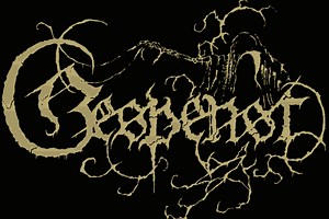 Gespenst - Revelation of Maggots lyrics