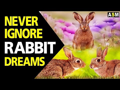 What does Rabbit dream meaning | Dreaming of Rabbit mean | Rabbit dream interpretation