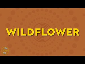 Billie Eilish - WILDFLOWER (Lyrics)