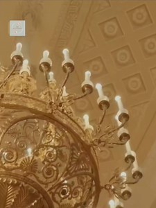 In Love with the Alpha Maya Woods found her white wolf, Zara. She was mated to Alpha Liam, who planned to take evil Eve Snow as his mate. This led to Liam rejecting Maya, as he considered her weak. Things take a turn when Liam could feel Maya's white wolf power within him. Would Liam reject his true Luna? #youngadult #sweet #fantasy #FatedLovers #superpower | Rise & Shine Diary