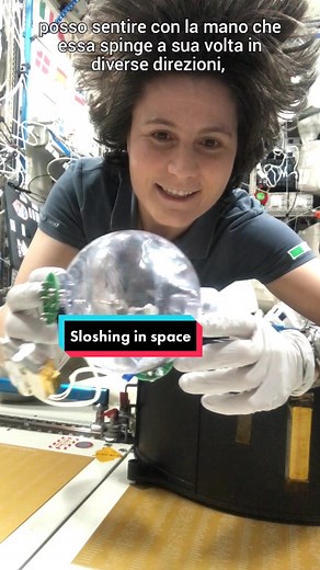 Exploring Liquid Sloshing in Space with the Fluidics Experiment