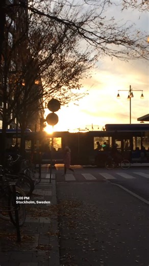 ✨ November days in Sweden #stockholm #visitstockholm #stockholm_insta | Thesnapwalk | Facebook