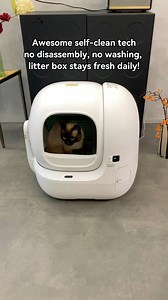 Automatic litter box #catsoftiktok #catlover #petkit #purobotmaxpro2 #fyp #foryoupage | Cat life Studio