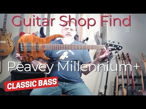 Peavey Millennium+ Five String Bass