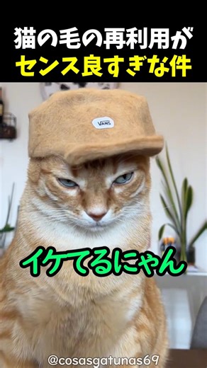 猫の毛の再利用がセンス良すぎな件