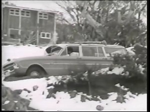 35K views · 750 reactions | The Falcon wagon stands alone, not many wagons have the boot capacity, pulling power, durability and style of a Falcon wagon. Behold the XL Falcon wagon! | Support the Ford Falcon | Facebook