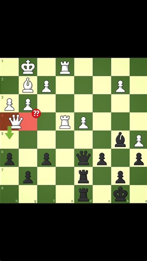 the Queen sacrifice 💀📈 #chess #rook #shortvideos #viral #chessgame #checkmate #viralvideos