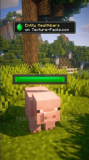 ✅ Entity Healthbars Texture Pack (Damage Indicator)