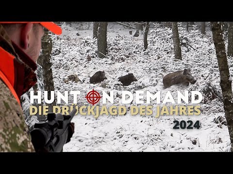 🐗❄️ WILD BIRDS IN THE SNOW ❄️🐗 The Hunt on Demand driven hunt of the year 2024 – the first 26 mi...