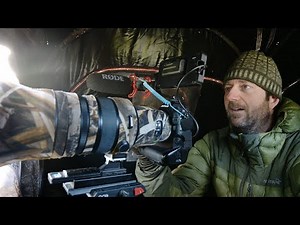 10 Years Rewilding My Garden – Now It’s a Bird Photography Paradise