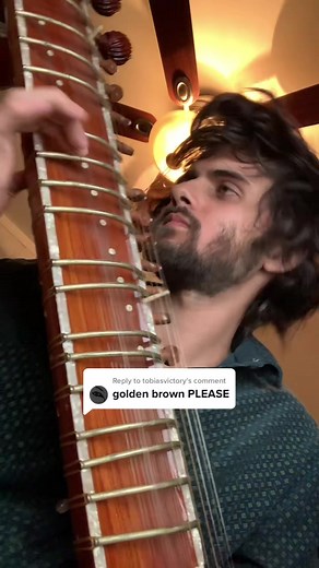 Golden Brown Sitar Cover by Sitarnik
