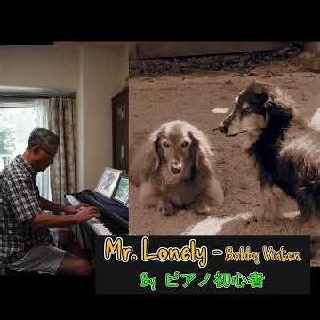 Mr. Lonely - Bobby Vinton- ピアノ初心者 愛犬の命日に弾いてみたくなりました。