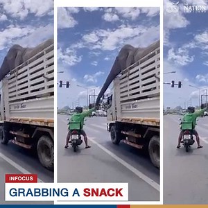 4.2M views · 438K reactions | The clip of a food delivery man giving a snack to a hungry elephant went viral on Tuesday, with netizens applauding him for his generosity. | The Nation Thailand | Facebook