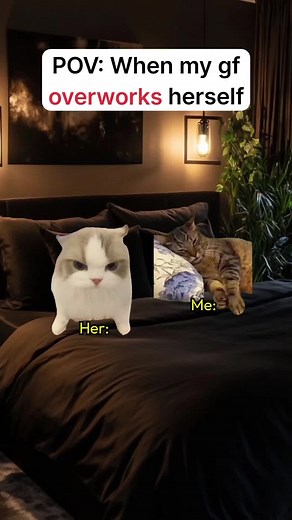Hilarious Pets: Funny Moments That Will Make You Smile