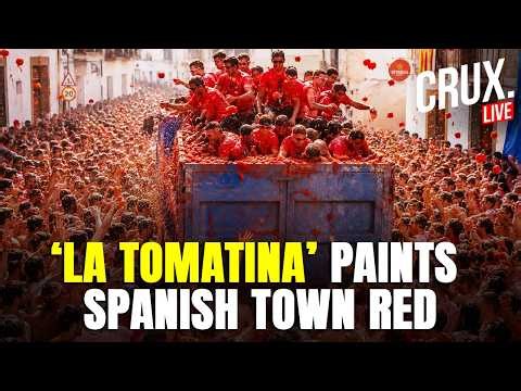 Spain LIVE | La Tomatina Festival Paints Bunol Red With Tomato Pulp | Revellers | Valencia