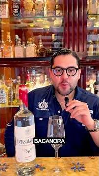 La BACANORA | un destilado de agave prohibido? | Lo conoces? #bacanora #tequila #mexico #cultura