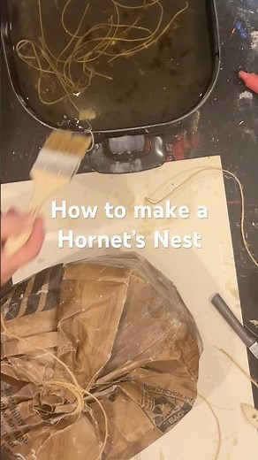 How to make a fake Hornet’s Nest to keep the Wasps away, it works!
