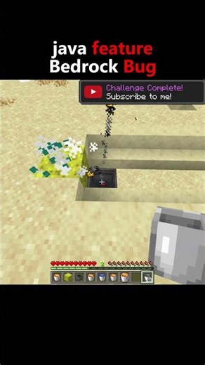 java feature Bedrock Bug