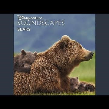 Inside the Bear Cave with Cubs