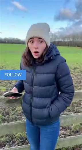 Malin… ce cheval n’a clairement pas signé pour rester enfermé 🤣