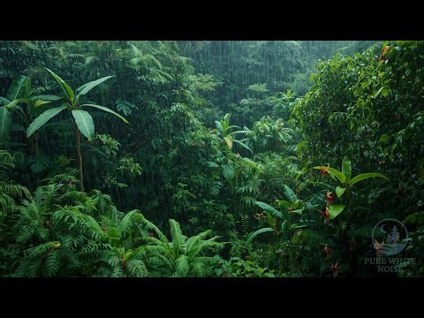 Amazon Rainforest Rain Sounds 🌧️ Relaxing White Noise for Sleep, Study, Meditation & Stress Relief