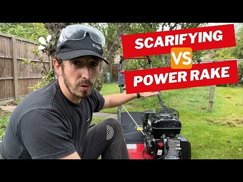 DIY Dethatching Your Lawn | Scarifier VS Power Rake | Cobra S40C Scarifier