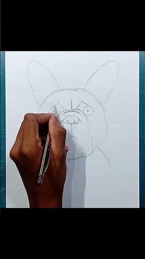 Aprenda a Desenhar um Buldogue Francês Passo a Passo