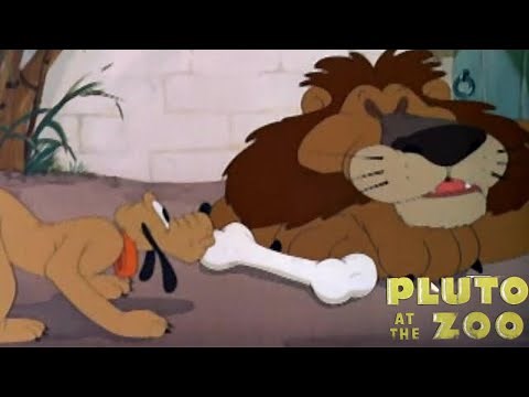 Pluto at the Zoo 1942 Disney Cartoon Short Film | Review and Recap