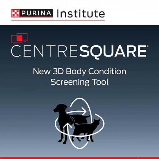 ❓ Struggling to help clients understand their pet’s body condition? The 3D Body Condition Score Tool, part of the Purina 9-Point Body Condition System, is designed to make those important conversations easier. With this interactive tool, veterinary professionals can show pet owners how to evaluate body fat levels more accurately. Give it a try and simplify your consultations ⬇️ http://spr.ly/6186U3FL8 | Purina Institute