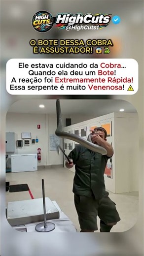 Cobra-Marrom Dá um Bote Surpreendente no Cuidador! 🐍😱
