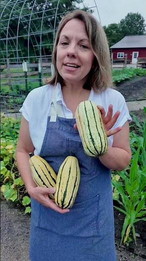 Delicata Squash