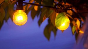 Streichlampen auf einer windigen Nacht: Stockvideos & Filmmaterial (100 % lizenzfrei) 1108603367 | Shutterstock