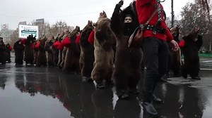 Romanians dress as bears for folk festival