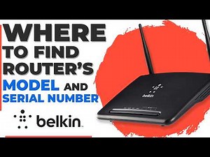 Belkin Router Serial Number | Belkin Router Model (Where to Find)